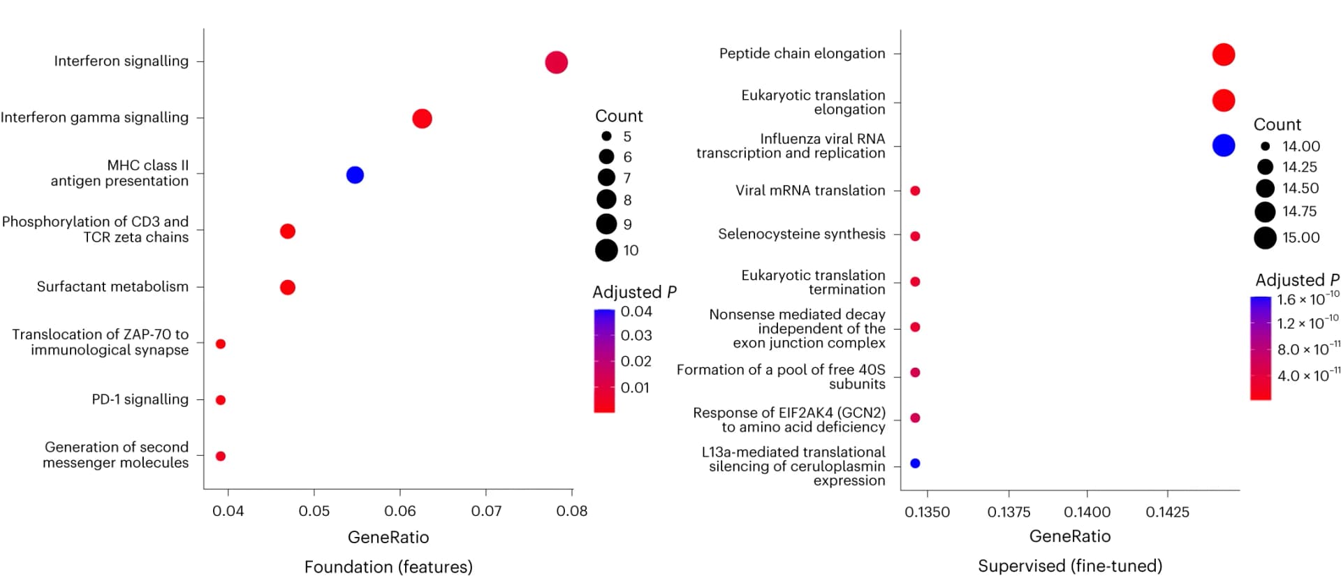 Open access visualization of Scatter Plot, Bubble Plot, Gene-Set Enrichment Analysis, Model Predictions, Genetic Pathways