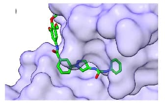 Open access visualization of Protein Structure, Chemical Structure, Crystal Structure, Aminopyrazole, JNK3