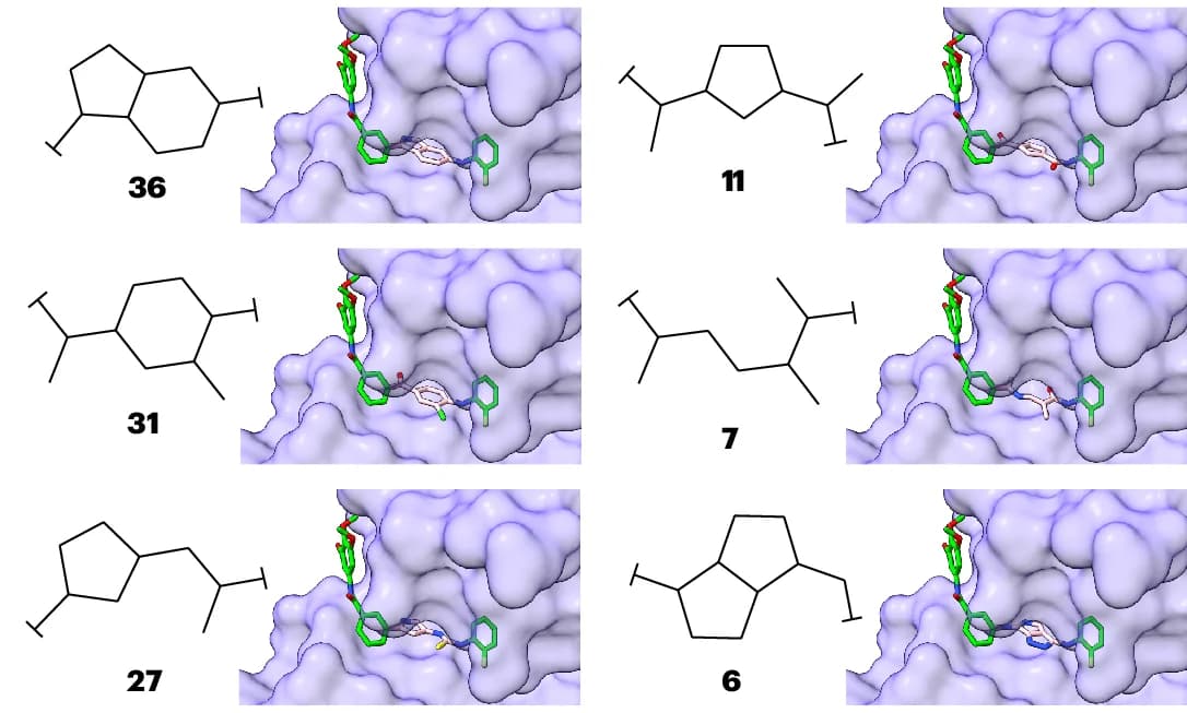 Open access visualization of Chemical Structure, Protein Structure, Linking Moieties, DiffLinker, Chemical Structures