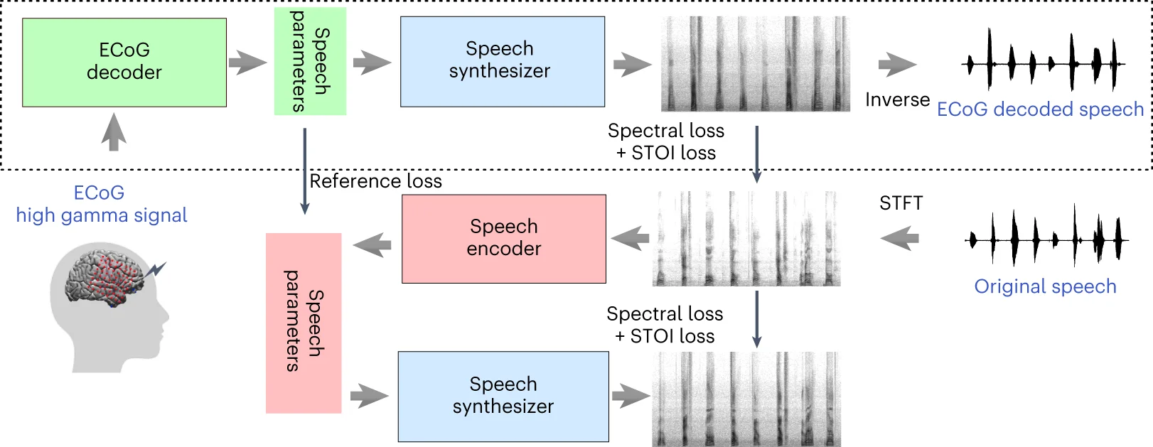Open access visualization of Workflow, Spectrogram, Line Plot, ECoG, Speech Decoding Pipeline