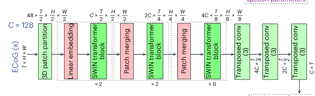 Open access visualization of Workflow, Flowchart, ECoG Decoder, 3D Swin Architecture, Swin Blocks