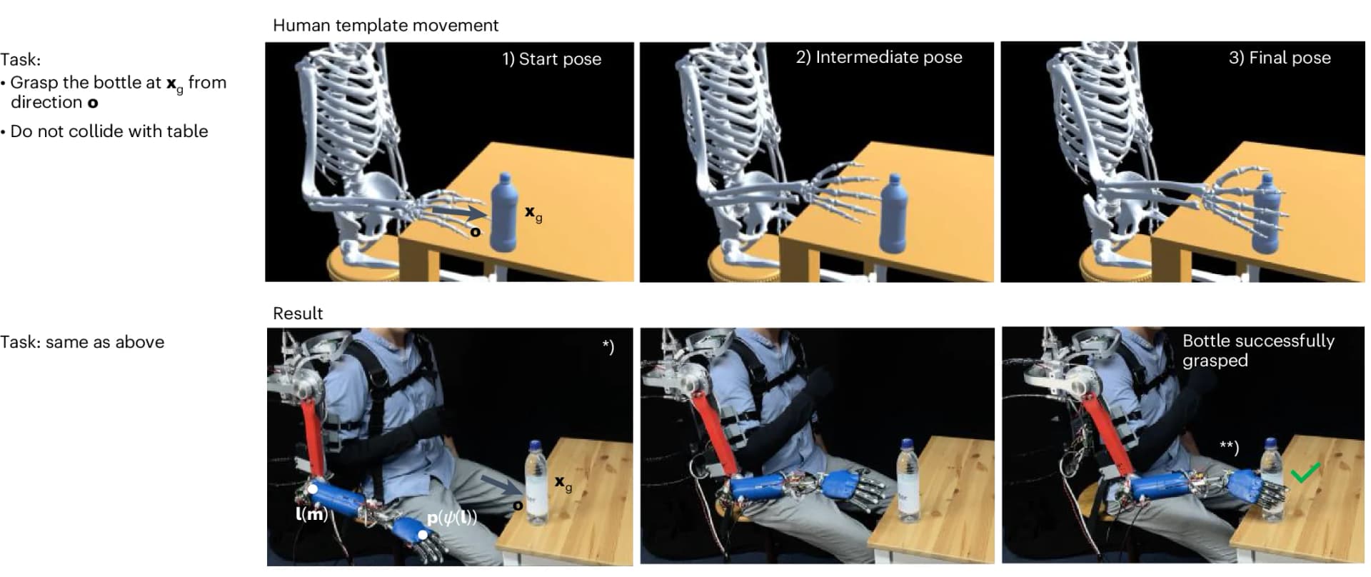 Open access visualization of Photo, Reach, Grasp, Bottle