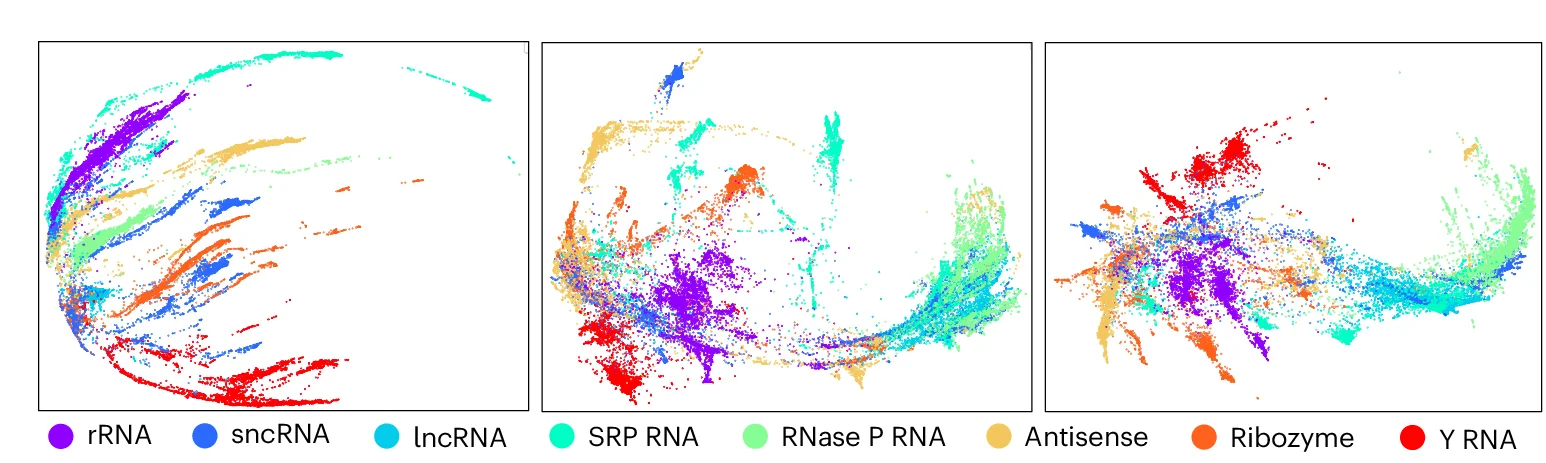 Open access visualization of Scatter Plot, UMAP, ncRNA, rRNA, lncRNA