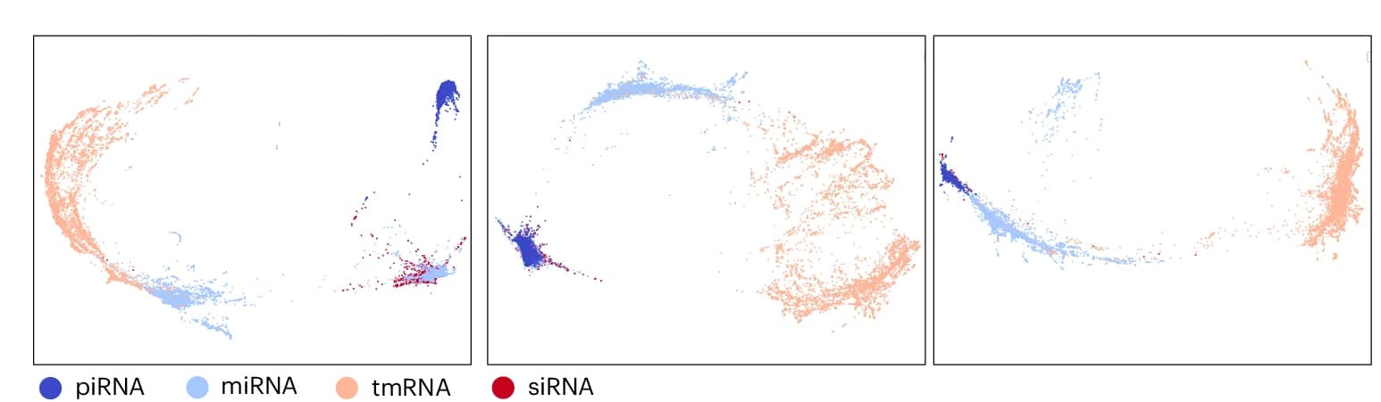 Open access visualization of Scatter Plot, UMAP, PCA, Small Regulatory ncRNA, piRNA