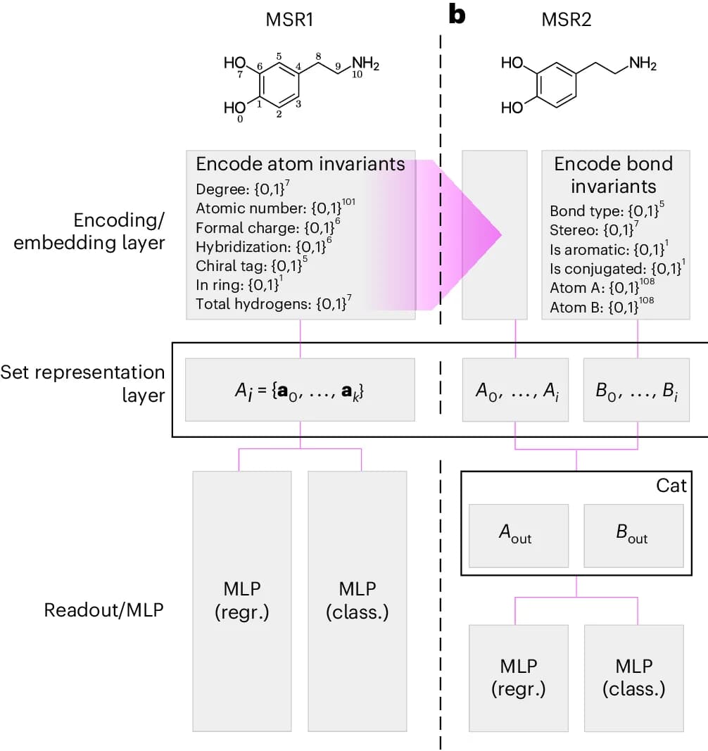 Open access visualization of Workflow, Flowchart, Chemical Structure, Molecular Set Representation Model, MSR1