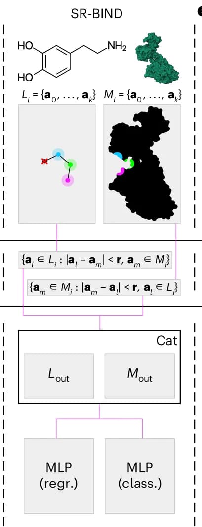 Open access visualization of Workflow, Flowchart, SR-BIND, Dual-Set Architecture, MSR2