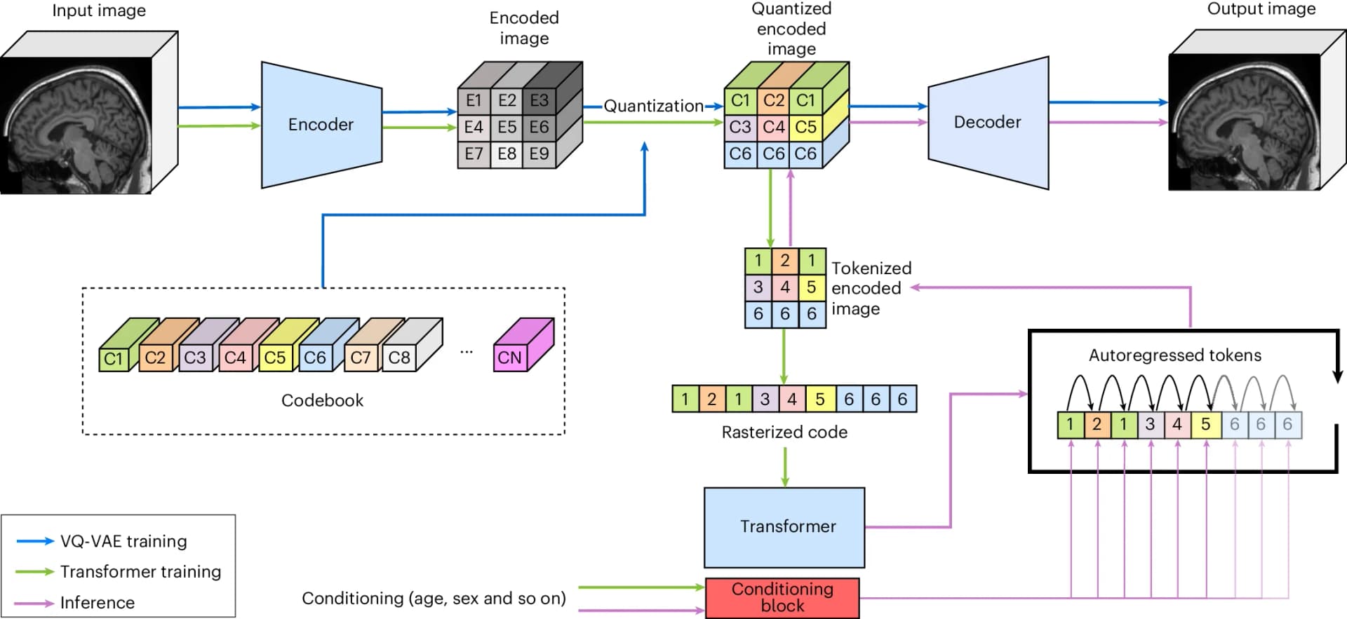 Open access visualization of Workflow, Illustration, VQ-VAE, Transformer, Training
