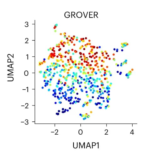 Open access visualization of UMAP, Scatter Plot, GROVER Vocabulary, Token Averaged Embedding