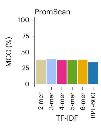 Open access visualization of Bar Plot, MCC, PromScan Task, TF-IDF Random Forest Classifiers, k-mers