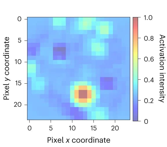 Open access visualization of Heatmap, CAM Data, hiPSC Image, Original Image