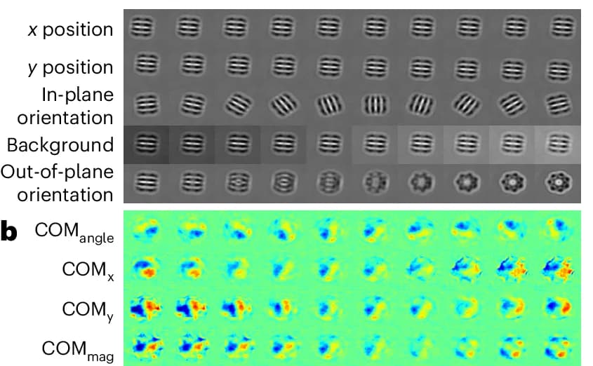 Open access visualization of Microscopy, Latent Traversal, CODAE, EMPIAR-10029 Dataset