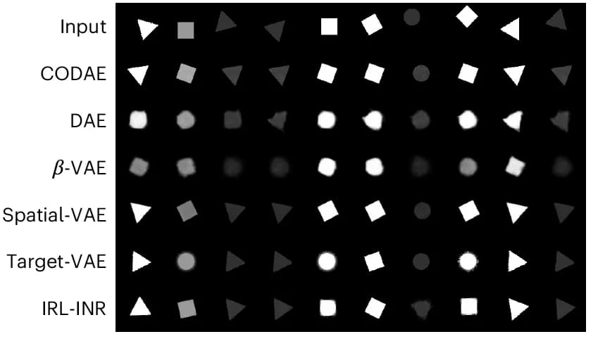 Open access visualization of Photo, XYRCS Dataset, Aligned Images