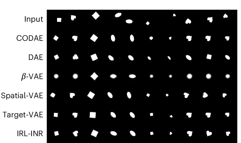 Open access visualization of Photo, dSprites Dataset, Aligned Images