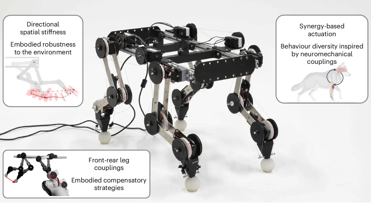 Open access visualization of Photo, PAWS, Pictorial Representation, Embodied Intelligence, Design