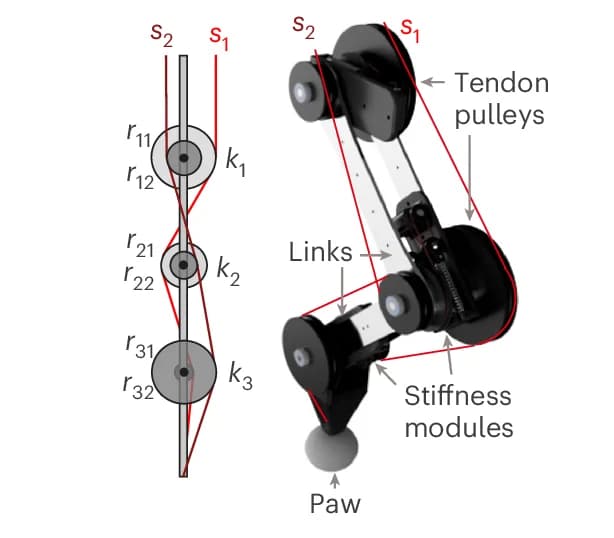 Open access visualization of Illustration, Mechanism, Leg, Joint, Pulleys