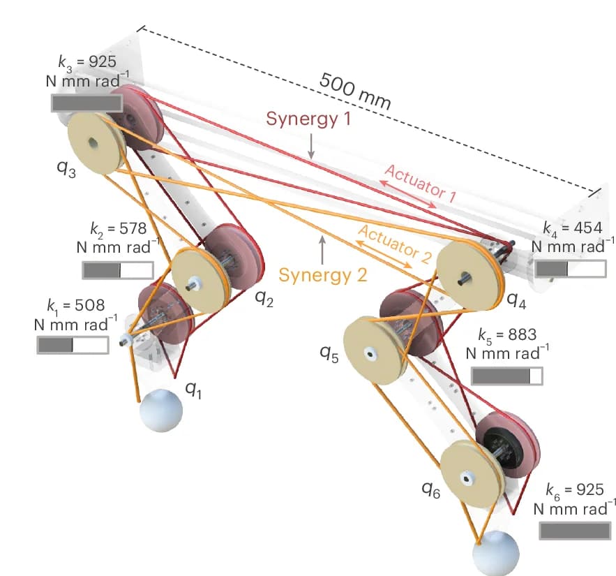 Open access visualization of Illustration, Workflow, Mechanism, Optimization, Tendon Routing