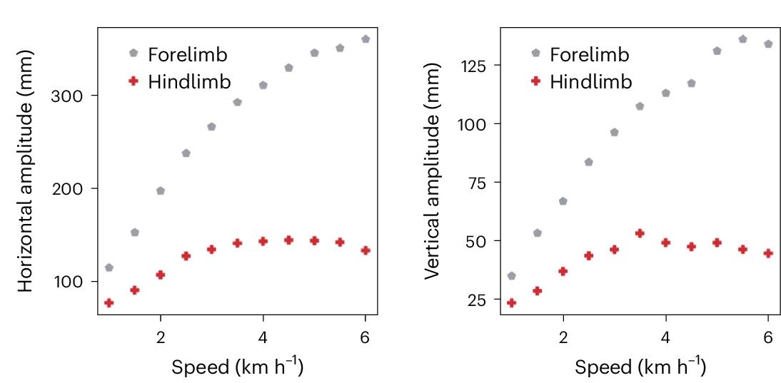 Open access visualization of Scatter Plot, Locomotion Pattern, Amplitude, Speed