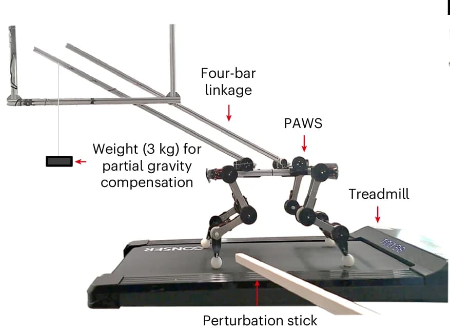 Open access visualization of Photo, Experimental Platform, Four-bar Linkage, Treadmill, Gravitational Forces