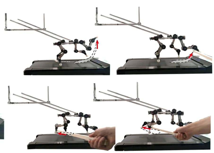 Open access visualization of Illustration, Perturbations, Passive Response, Coordinated Response, Synergy Theory