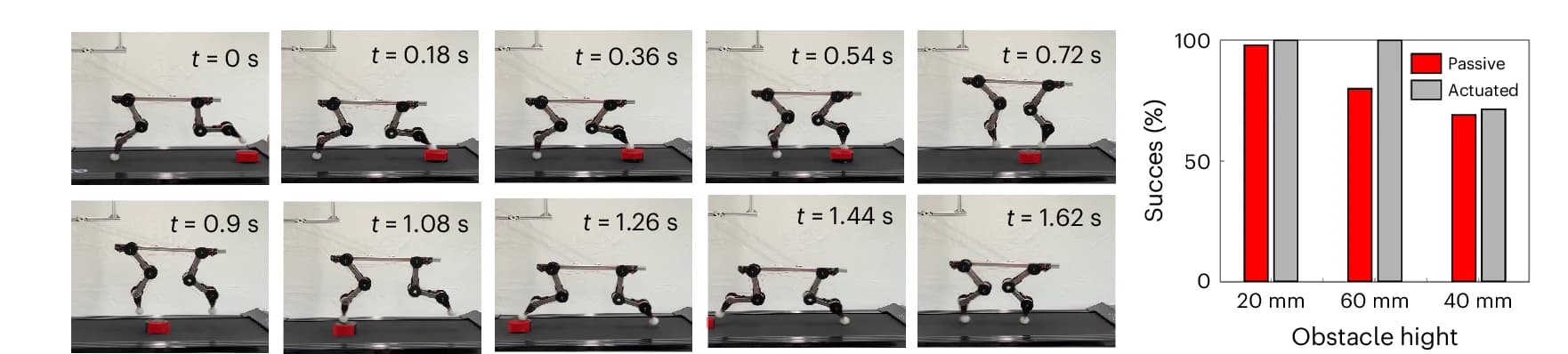 Open access visualization of Bar Plot, Clustered, Photo, Dynamic Response, Obstacle Height