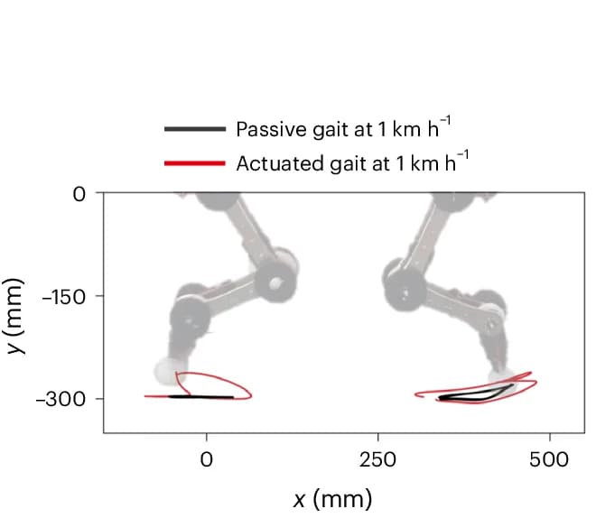 Open access visualization of Line Plot, Active Trajectories, Passive Trajectories, Half-Dog, Treadmill