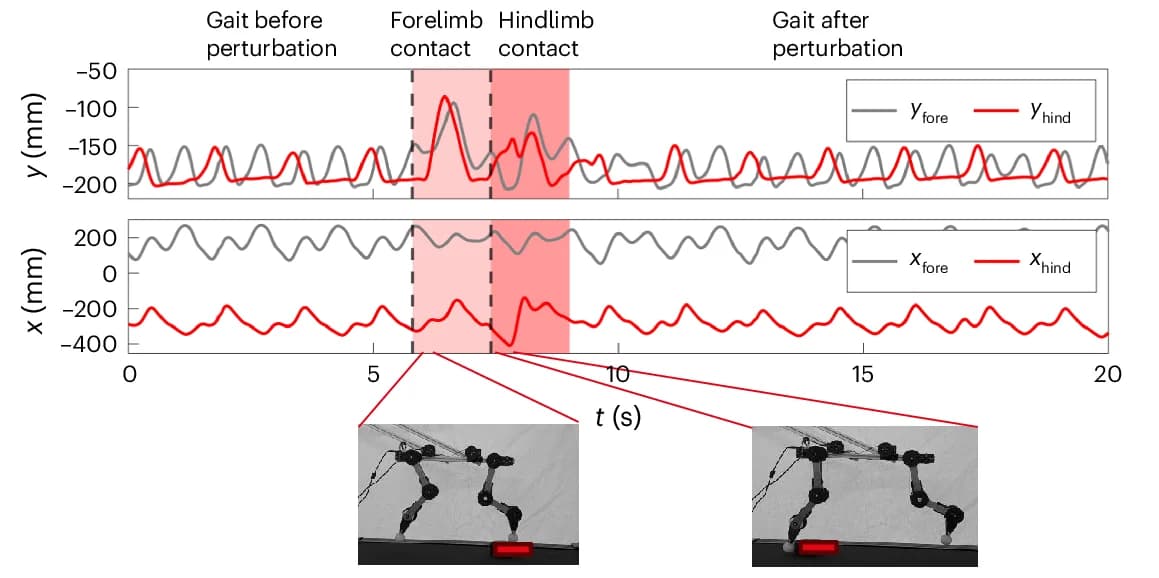 Open access visualization of Line Plot, Photo, Gait Pattern, Obstacle, Leg Coupling