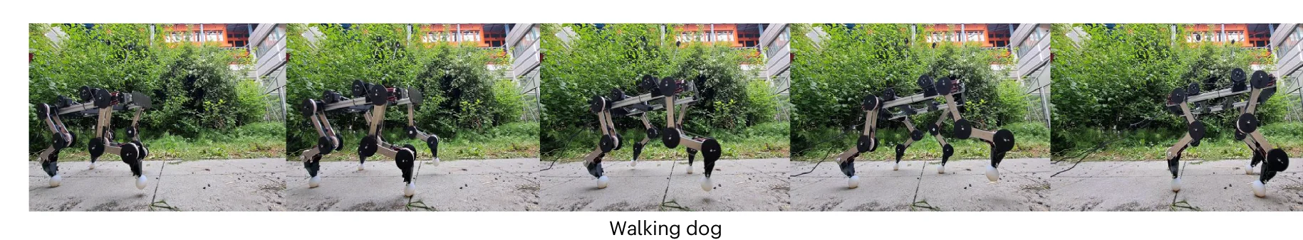 Open access visualization of Photo, PAWS, Tendons, Self-Stability, Actuation
