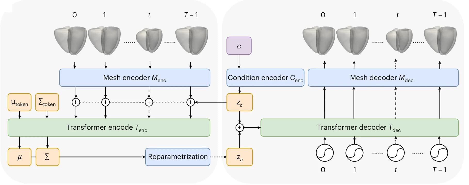 Open access visualization of Workflow, Flowchart, Model Architecture, Cardiac Meshes, Mesh Encoder