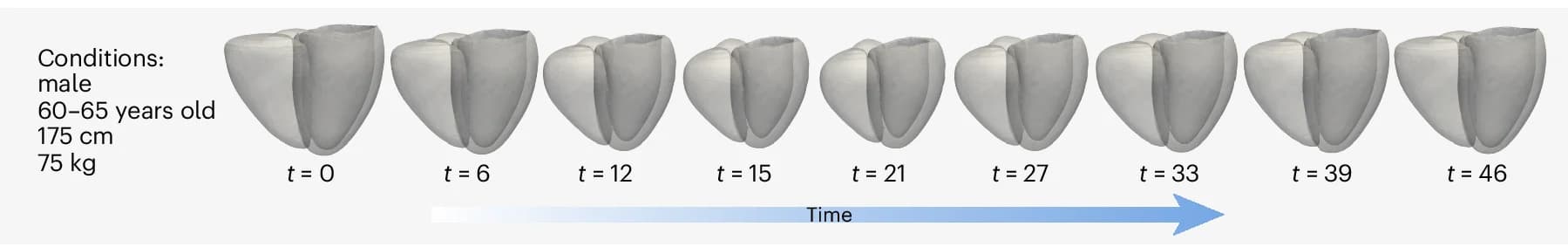 Open access visualization of 3D Plot, Clinical Factors, Mesh Sequence, Time Frames