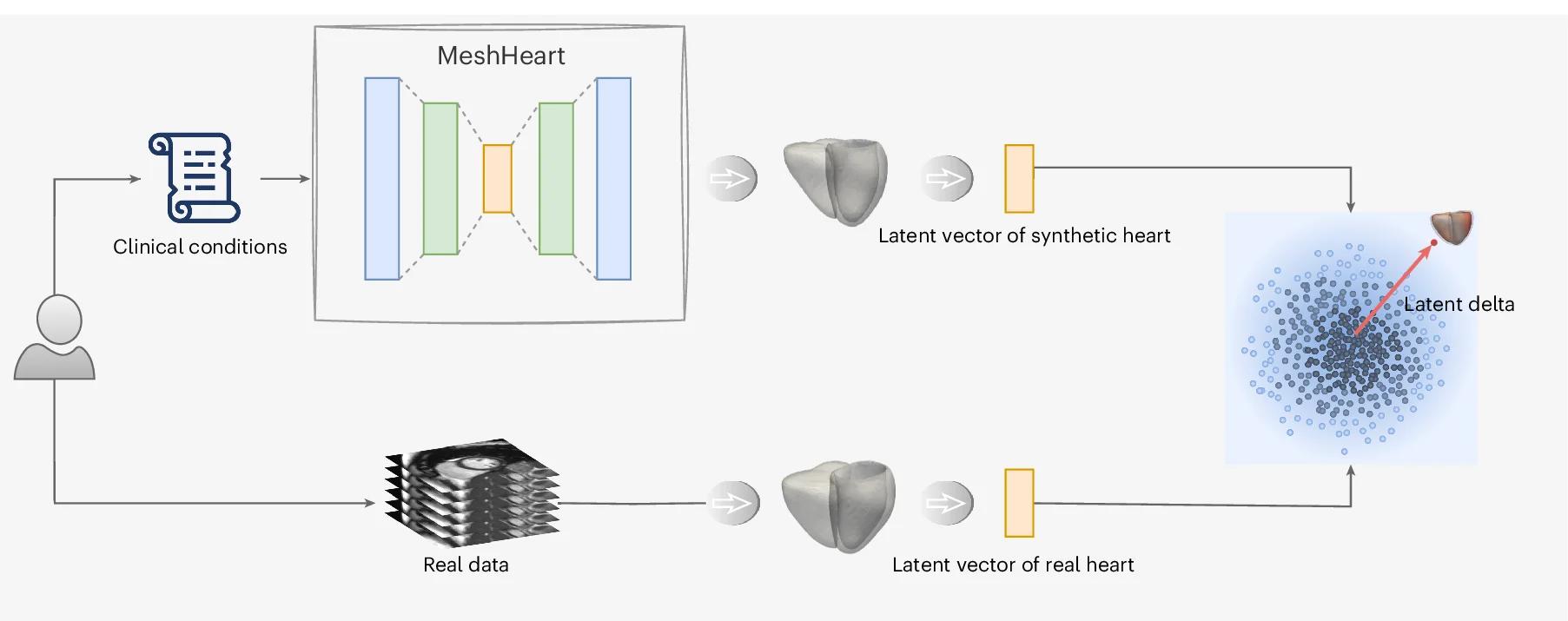 Open access visualization of Workflow, Illustration, Scatter Plot, Conceptual Framework, Normative Cardiac Mesh Sequence