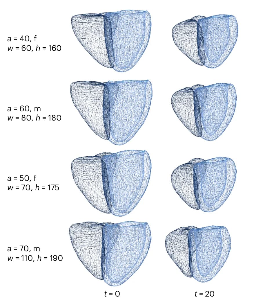 Open access visualization of 3D Plot, Protein Structure, 3D Cardiac Meshes, Generating Factors, Age