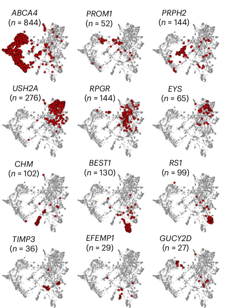 Open access visualization of Scatter Plot, UMAP, Eye2Gene, Gene, FAF Scan
