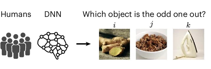 Open access visualization of Illustration, Workflow, Triplet Odd-One-Out Task, Human Participant, DNN