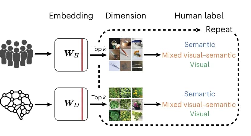 Open access visualization of Workflow, Illustration, Dimension Rating, Semantic Dimensions, Visual Dimensions