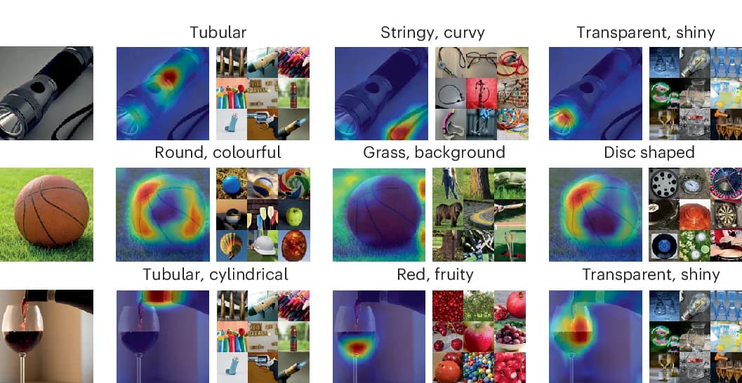 Open access visualization of Photo, Heat Maps, Image Relevance, Embedding Filtering
