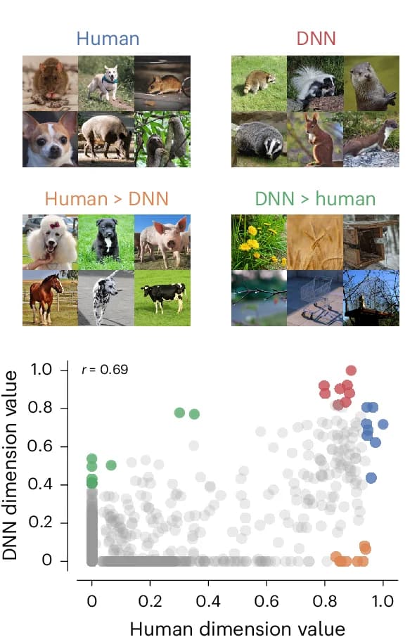 Open access visualization of Scatter Plot, Photo, Intersection, Difference, Human