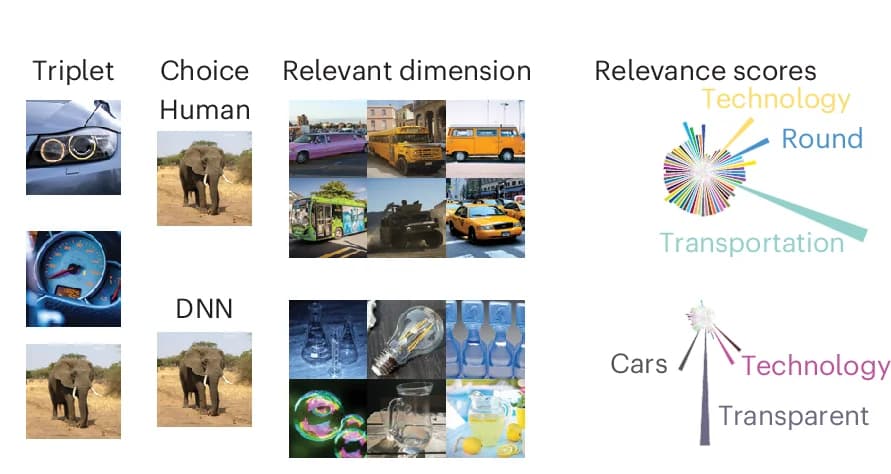 Open access visualization of Photo, Radar Chart, Softmax Probability, Triplets, Human Behavior