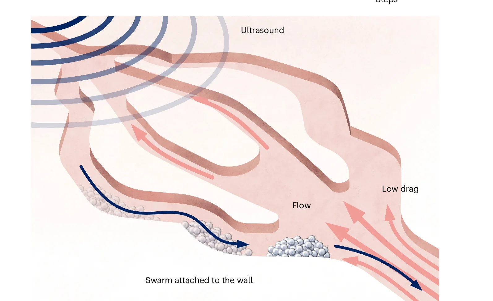 Open access visualization of Illustration, Workflow, Microrobot Behaviour, Drag Avoidance, Flow Navigation