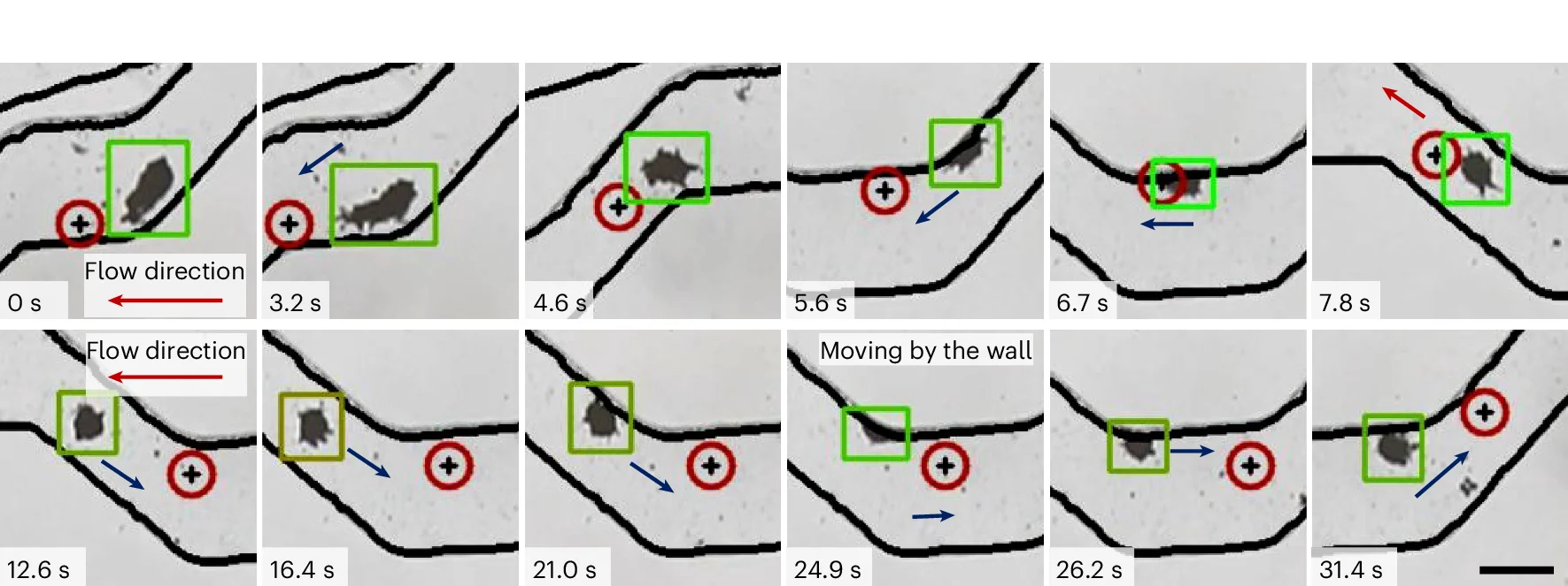Open access visualization of Microscopy, Microrobot Navigation, Microfluidic Channel, Flow Conditions, Drag