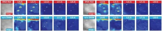 Open access visualization of Microscopy, DNA-Net, Feature Maps, Targets, Detection