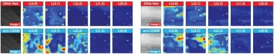 Open access visualization of Heatmap, DNA-Net, Feature maps, Profile segmentation