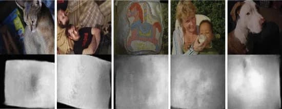 Open access visualization of Photo, BiFPN, Heat Maps, Moire Patterns, Attention Areas