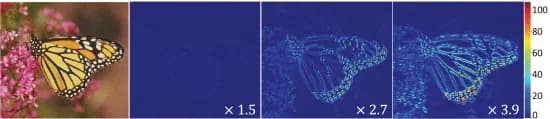 Open access visualization of Photo, LR Images, HR Image, Scale Factors, Bicubic-downscaled