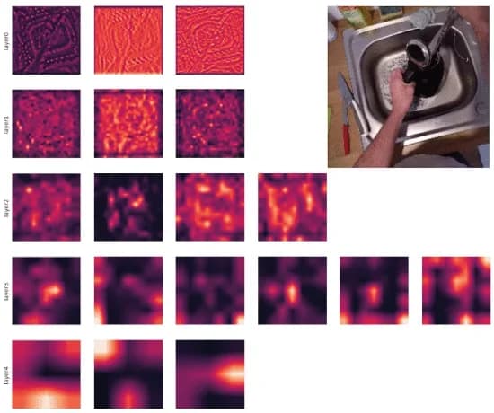 Open access visualization of Microscopy, Photo, Attention Maps, Bottleneck Layers, SAN19