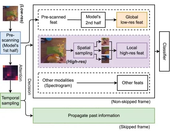 Open access visualization of Workflow, Flowchart, Temporal Sampling, Spatial Sampling, High-resolution Input