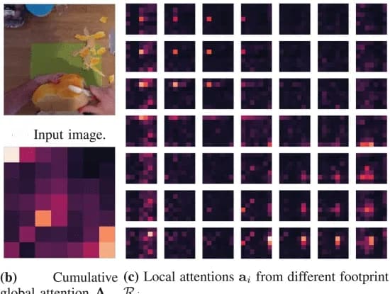 Open access visualization of Heatmap, Attention Maps, Image Analysis, Visualization