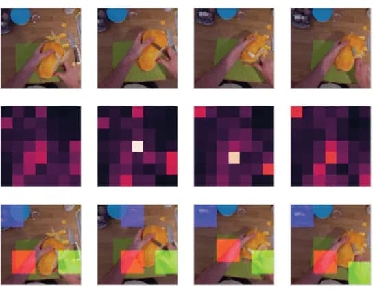 Open access visualization of Photo, Heatmap, Spatial Sampler, Input Frames, Attention