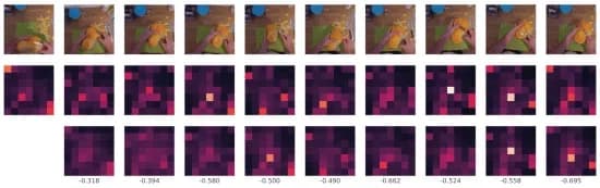 Open access visualization of Heatmap, Photo, Attention, Hallucination, Video Sequence