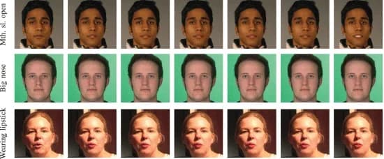 Open access visualization of Photo, Attribute Classifiers, Generated Edits, Smoothing Factor, MaskFaceGAN