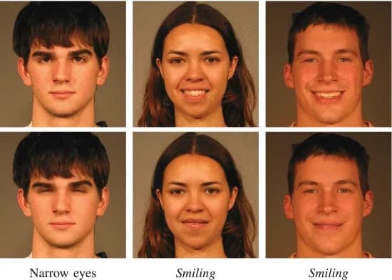 Open access visualization of Photo, MaskFaceGAN, Attribute classifier, Face parser, Image editing